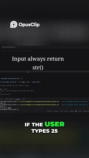 Python Input Function: Beginner's Most Common Mistake