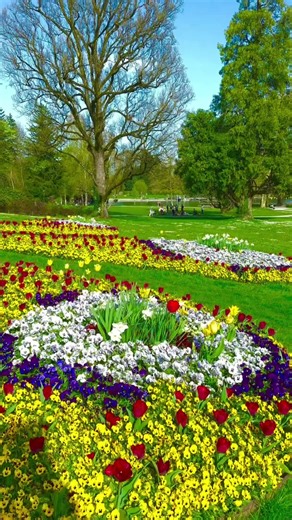 Discover Switzerland's Natural Beauty