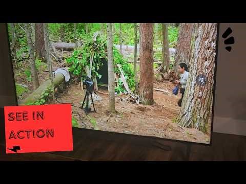 LG 65" UA77 LED AI 4K UHD Smart TV: First Look & Setup