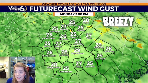Meteorologist Avery Gray breaks down the windy weather conditions | WJBF NewsChannel 6