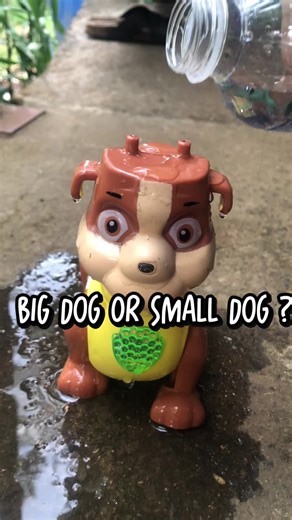 Choosing Between Big Dogs and Small Dogs