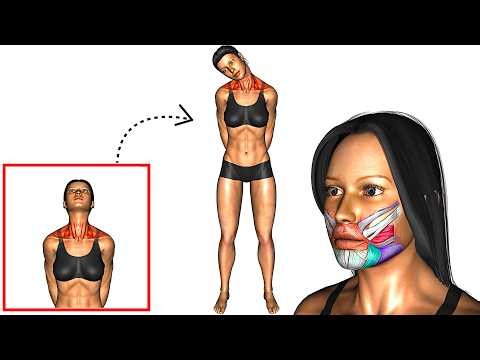 Best Morning Exercise Warm Up and Stretch At Home