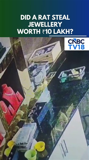 Rat 'Steals' ₹10 Lakh Diamond Jewellery From Karnataka Store | CCTV Captures Bizarre Incident