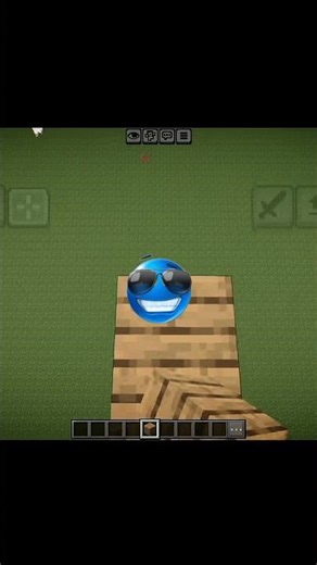 Minecraft Java vs Bedrock Bridging 😳