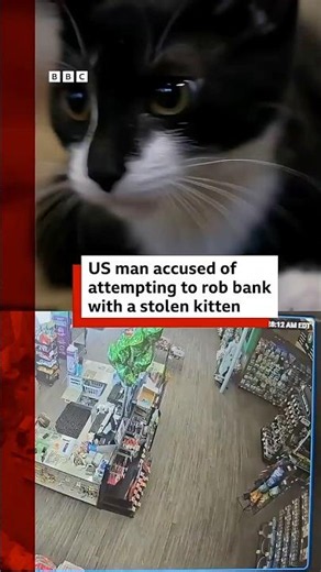 Man attempts to rob bank with stolen kitten. #BBCNews
