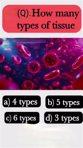 How many types of tissue#biology#neet#aspirants#tissue#ytshorts#viral#shorts#feed#youtubeshorts#beta