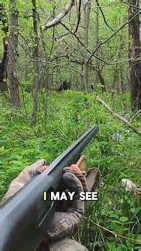 Hunting turkeys in THICK cover!! 🦃