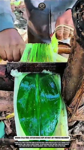 Banana Stalk Fiber: Artisan Makes Rope Without Any Powered Machinery #innovation #worktool #process