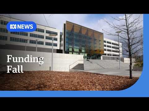 ASIO cut counterterrorism funding share to post-9/11 low before Bondi | ABC NEWS