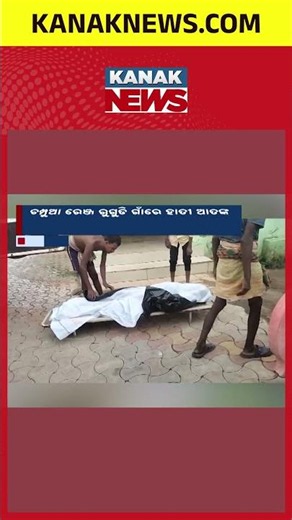 Horrific Elephant Attack in Keonjhar! 1 Dead, Brother & Sister Miraculously Escape