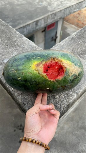 Experiment: Will a watermelon explode if it rolls off a tall building? 🍉💥#shorts