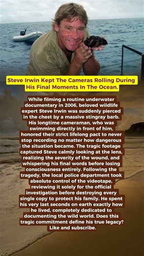 Steve Irwin Kept The Cameras Rolling During His Final Moments In The Ocean #steveirwin #shorts