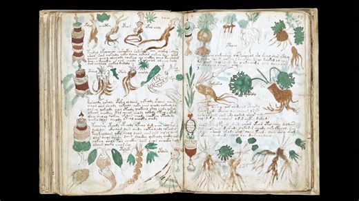 The Voynich manuscript is real, 600 years old and still not deciphered