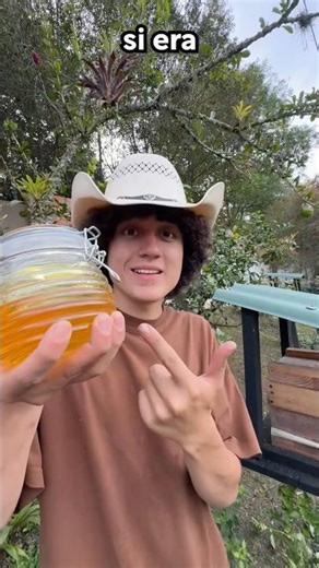 Comida para mis abejas 🐝