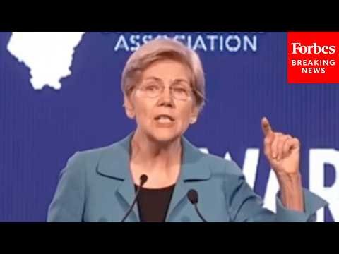'Buckle Up For The Fight Ahead': Elizabeth Warren Rails Against Trump Admin At IL County Dems Brunch