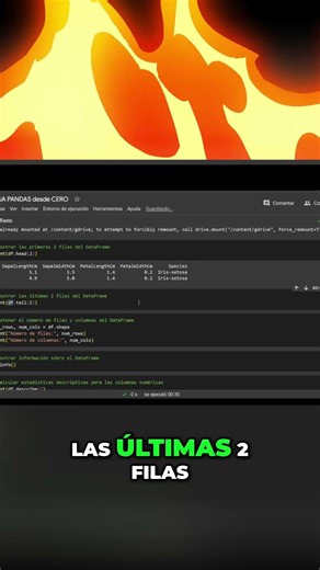 ¡Domina tus Datos! Muestra las Últimas Filas de Tu DataFrame en Python