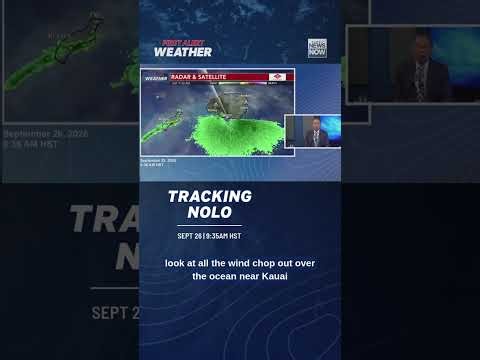 Nolo Track Update