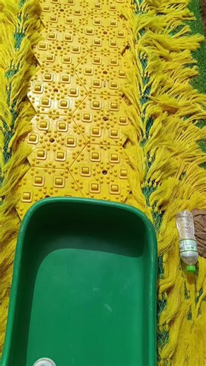 Explore Rainbow Slide in Mongo Land, Dalat Vietnam