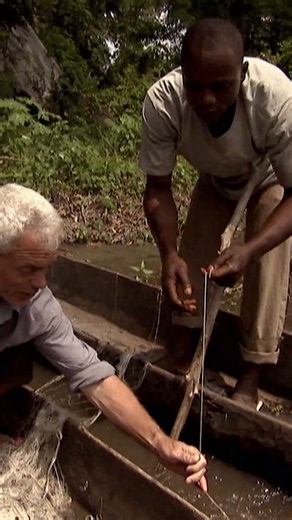 River monsters fish that can pull you under