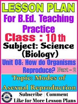 Class 10 Science Lesson Plan | Unit 08: How do Organisms Reproduce? | Modes of Asexual Reproduction