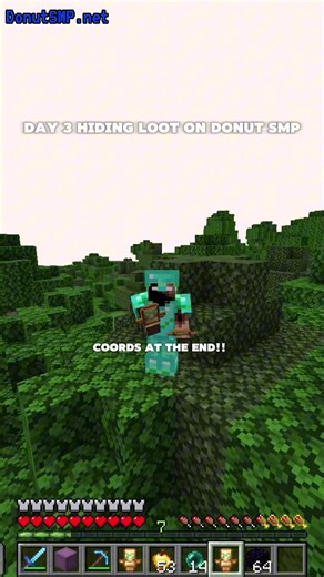 Hiding Loot on Day 3 of Donut SMP