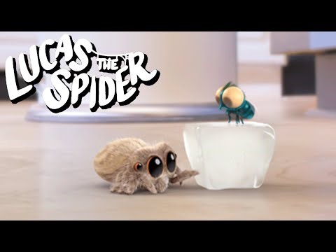 Sliding Fun With Lucas the Spider