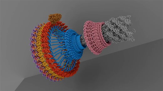 💥 Nature’s two true rotary nanomotors: Bacterial flagellar motor (propeller) & ATP synthase (power generator). Both powered by proton flow 🔥🧬 If the flagellar motor is nature’s outboard propeller engine, ATP synthase’s rotary motor is its tiny power plant generator both harnessing the same “life force” (proton gradient) in the most efficient rotary designs biology has produced.✨The recent structural breakthroughs in the flagellar motor (like the 5:2 stator geometry and C-ring reshaping for in