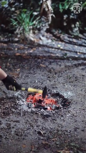 The Right Way to Remove a Tree Stump | Crafty Panda