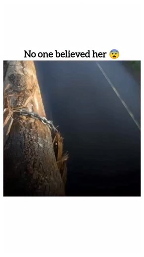 Screen Clips on Instagram: "🎬 Title: Final Destination 2 (2003) 📛 CBFC Rating: A ⭐ Genre: Horror | Crime | Thriller ⏱️ Duration: 1h 30m 🎭 Starring: A.J. Cook, Michael Landes, Ali Larter, Tony Todd 🎥 Director: David R. Ellis 🎞️ Franchise: Second film in the Final Destination series 📚 Storyline: Final Destination 2 amps up the horror with one of the most iconic opening scenes in horror history — the terrifying highway pile-up involving a log truck. After having a premonition of the deadly cr