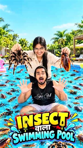 Insect wala swimming pool❗️❗️