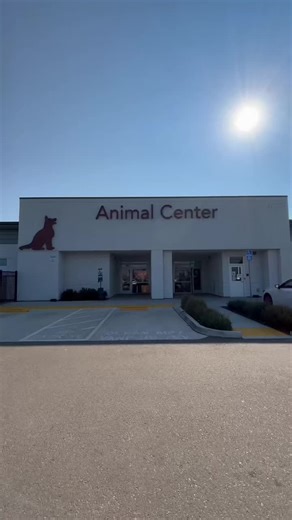 Fresno Animal Center on Instagram: "Fresno Animal Center is at CRITICAL CAPACITY 🚨 Now, more than ever, FAC is in need of fosters and adopters to alleviate the overcrowding in our shelter. 😔 Our adoption fees are currently waived and include spay/neuter, microchip, and starting vaccines. ✅ If you are able to open your home to an animal in need, please consider adopting or fostering today. 💗 Fostering helps two animals: the animal you are taking into your home, and the animal that is able to b