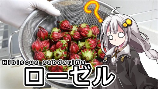 釣れなくても料理！ローゼルソース！【VOICEROIDキッチン】