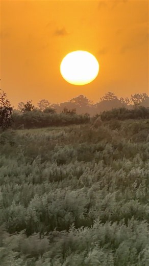 Monday oct 26 2026! Full moon hunters moon harvest moon #harvestmoon #huntersmoon #moonlover #happymonday #sunrise