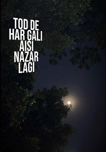 The Moon Never Tells Us What It Has Been Through: A Quote on Resilience