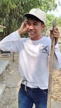 Keliling cari bambu untuk bikin layang-layang di samping makam #layangan #layanglayang #bambu #makam