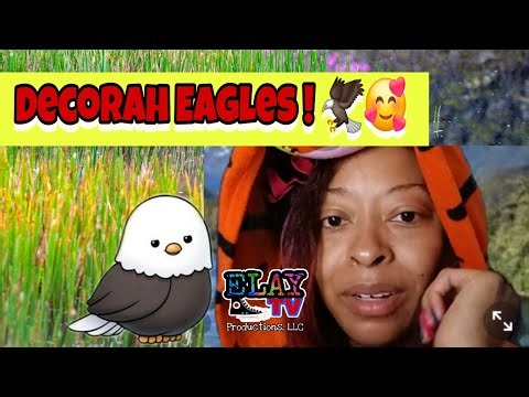 Live Eagles watch🦅🦅 Part 2 Decorah Eagles by EXPLORE.org - - ELAY TV 😎📺🛸✌🏽