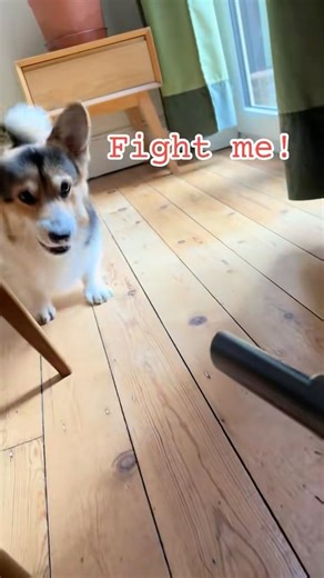 Fighting the Vacuum Monster #shorts