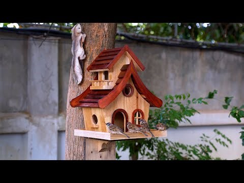 Build This Cute Bird Feeder in Minutes! 🔨🐦