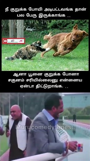 ஏன்டா திட்டுறாங்க #trendingshorts #viralvideo #animals #parithabangal #comedyshorts #funnymemes