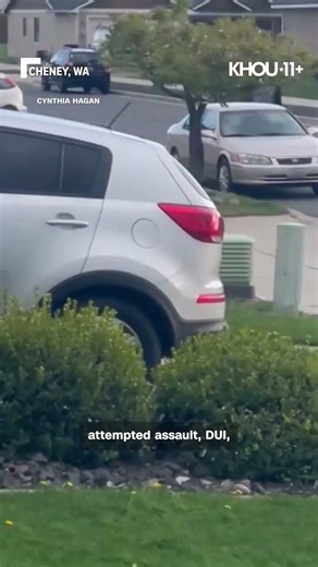 Woman accused of chasing child on bike with car arrested for DUI