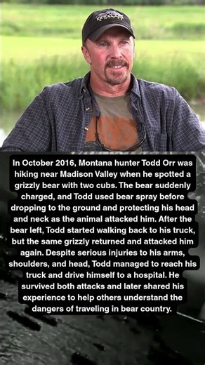 Todd Orr Survived Two Grizzly Bear Attacks in One Day