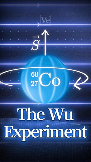 The Experiment That Almost Broke Physics #veritasium #science #physics #symmetry