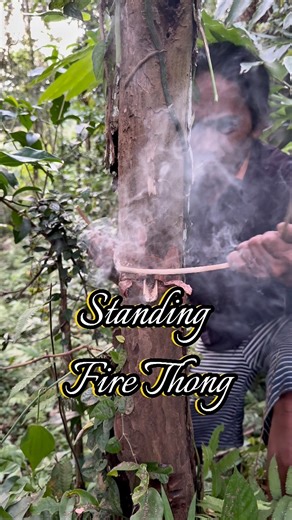 How to make fire by rubbing a rope on dead wood that is still standing #firethong #FireRope #primitivefirelighting #livingskill #firemakingskills #outdoors #bushcrafting #survivalskills #SelfSufficiency #bushcraft #survivalfire #howto | dalemgumino