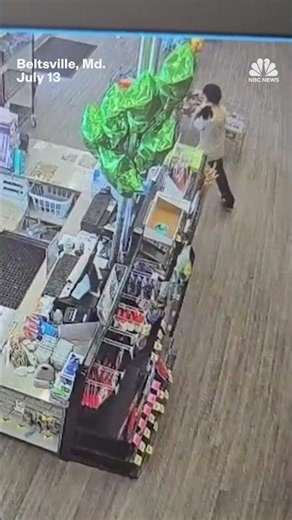 Man steals cat, allegedly tries to rob bank with her