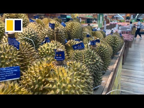 Thai influencer sells premium durians for dirt cheap to avoid rotting amid surplus