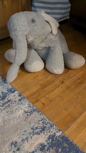 Pov you split an atom #Comedy #Elephant #funny #specialeffects