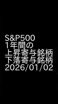S&P500 ～ 2025年1月から12月の上昇銘柄 & 下落銘柄トップ5 #投資 #sp500 #相場解説