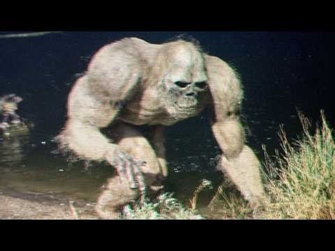 Disturbing Creatures Filmed in Forests With Dark Legends