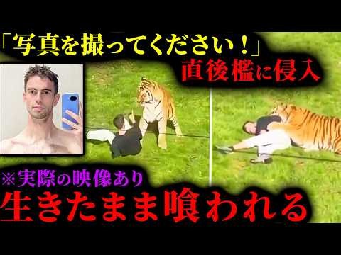 【閲覧注意】「トラに祈り始めた」24歳男性が自ら猛獣の檻へ侵入…直後に起きた悲惨すぎる事故