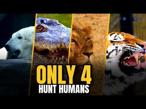 The Only 4 Animals That Hunt Humans (And the True Stories That Prove It)